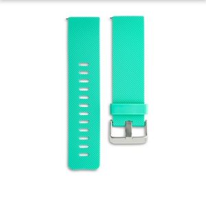 Fitbit blaze bands